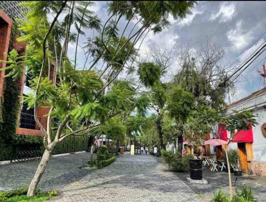 Makachi Hotel Guatemala City Екстериор снимка